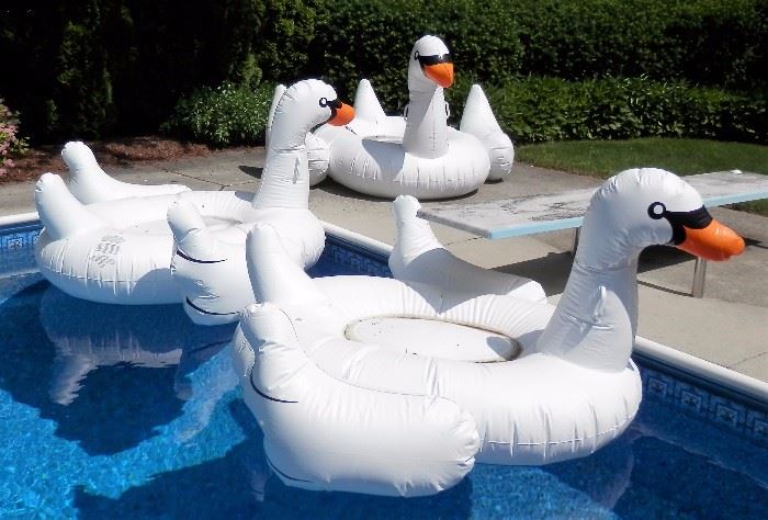 Pool Inflatables 