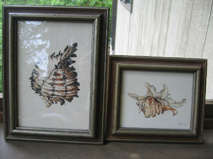 Betty Parks, small watercolors, shells