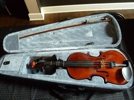 Violin