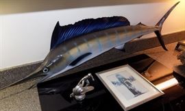 MHE018 Framed Duke Kahanamoku, Plastic Marlin, Surfing Trophy