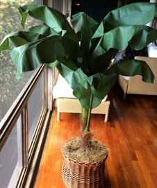 MHE044 Large Artificial Plant in Wicker Basket