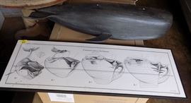 MHE162 Whale Figurine and Picture