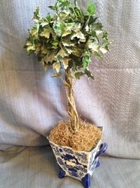 Small topiary in blue & white container