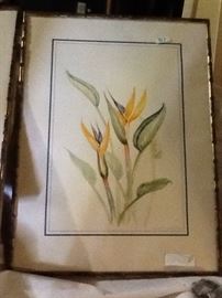 Botanical signed & numbered