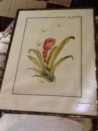 Botanical signed & numbered