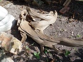 More Lake Belton drift wood