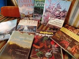 A view of only a small selection of books