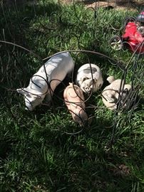 Please free us and take us home with you