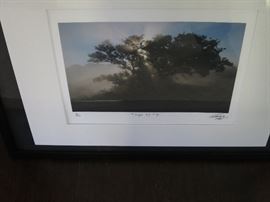  Photo by Nicholas Pratley, Limited Edition, signed