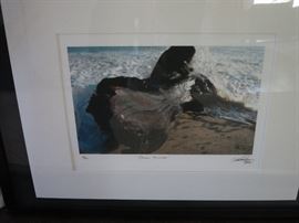  Photo by Nicholas Pratley, Limited Edition, signed