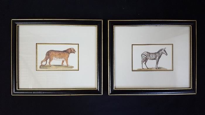pair of safari prints framed