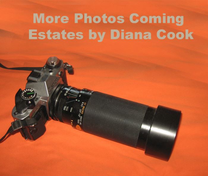 Estate Sales by Diana Cook