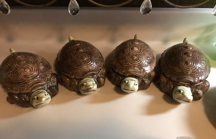 Turtle Covered Soups