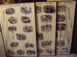 1983 Ducks of North America Volume 1-3 by Lawrence Kledzik Windsor Publishing