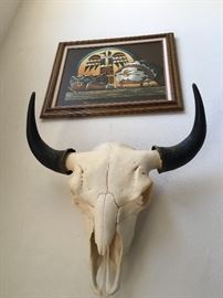 LARGE bison skull