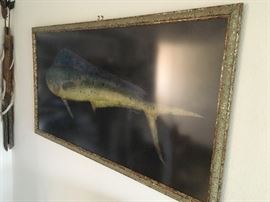 Gyotaku is the traditional Japanese art of painting fish... using actual fish "rubbings" - these are beautiful example of a technique from the 17th century. This is one special fish print... and LARGE. It is tough to photograph it, but amazing in person