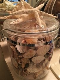Several jars of shells
