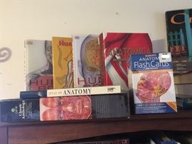 It's just basic anatomy really...