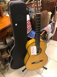 muisical instruments and guitars 