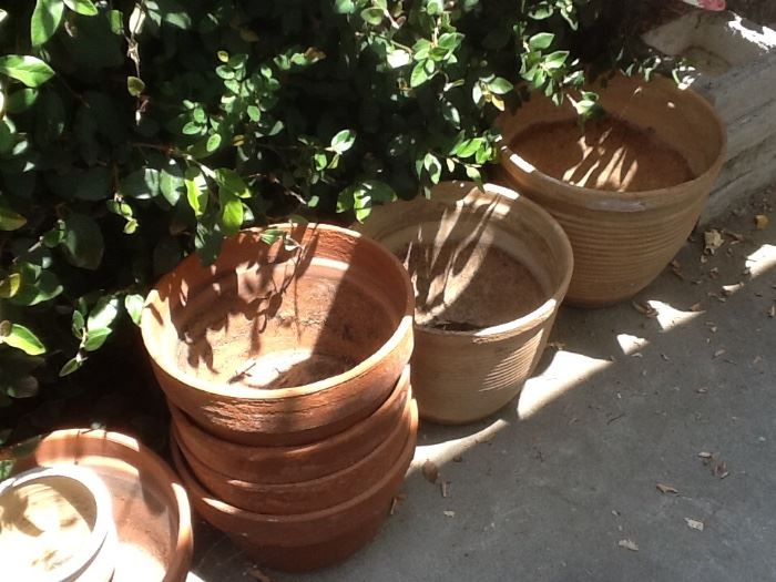 Large planting pots