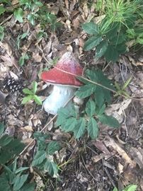 A painted mushroom in the front garden area 