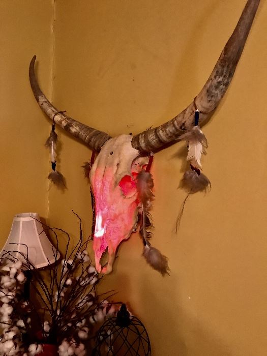 A large longhorn skull complete with beads and feathers and a red light if you so desire