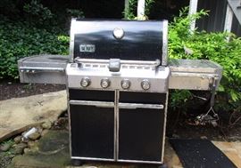 Weber Grill