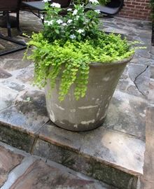 potted plant concrete planter