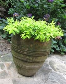 concrete potted plant