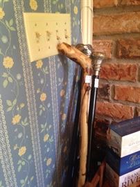 Collection of canes