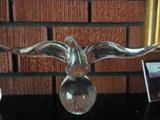 beautiful steuben bird