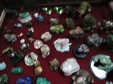 a wonderful collection of frogs