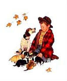 #710 Norman Rockwell                                                        
Puppy Love – Fall
Offset Litho 
794/1400
