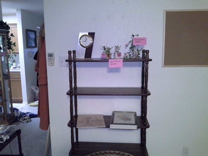 Humming birds shelf audobon humming bird coffee table book large