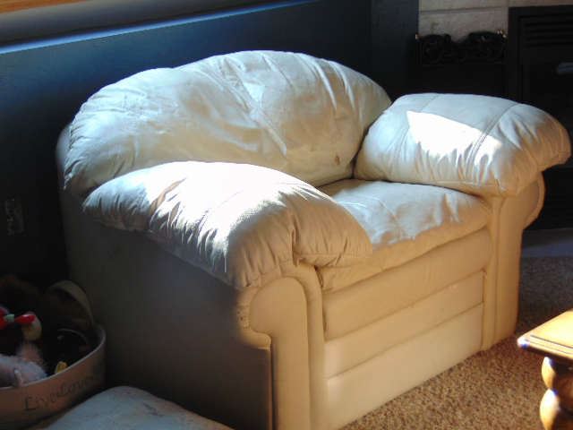 Ivory, leather chair