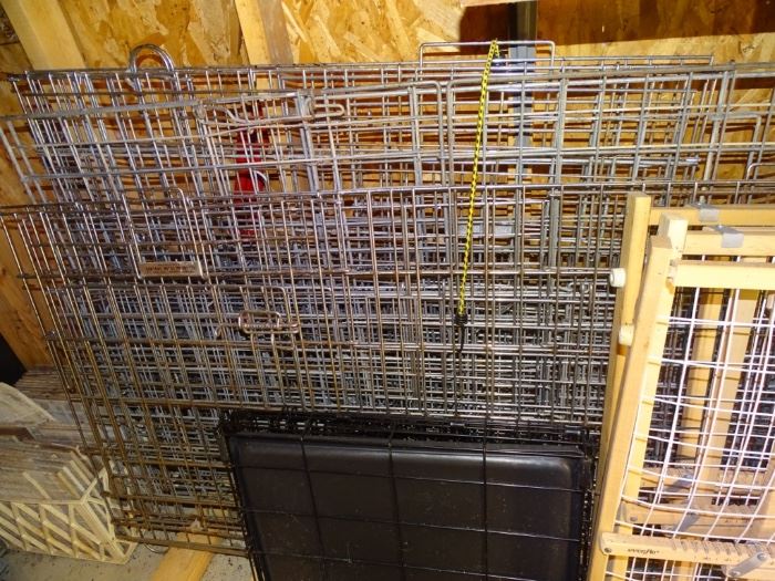 Group of dog cages.