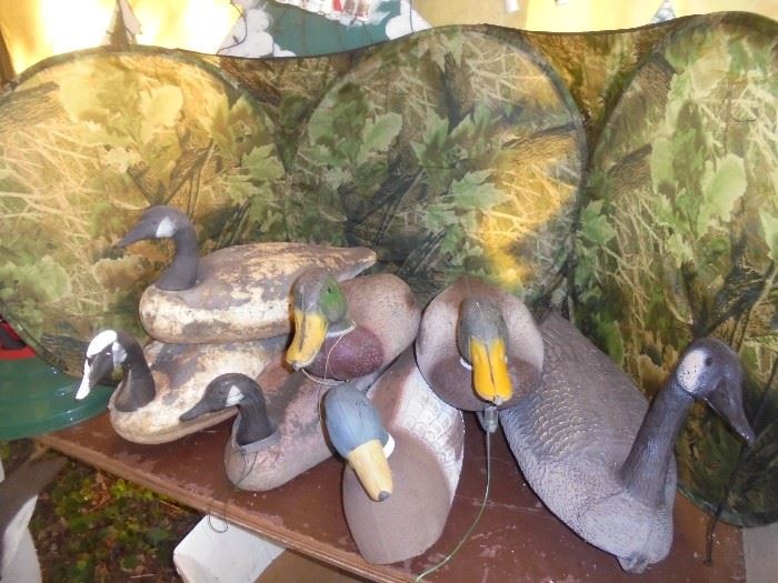 Several larger sized decoys