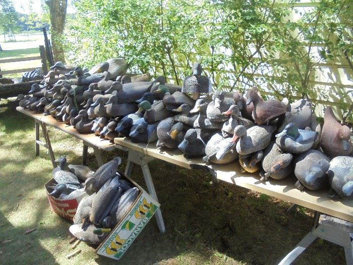 Just unpacked most of the smaller duck decoys. Many to choose from!