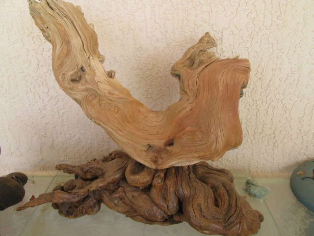 Gorgeous pieces of Driftwood, use as art or for crafts