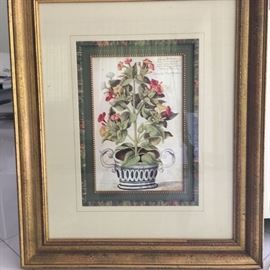 JohannJWaltersGartenkunstIndianischer Nachtschatten