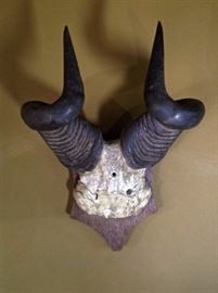 Mounted horns