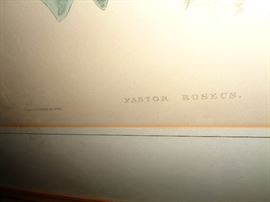 CLOSE UP VIEW OF GOULD SIGNED AUDUBON STONE LITHOGRAPH PRINT