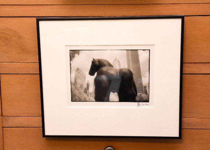Framed Photography (Botero in Chicago)
