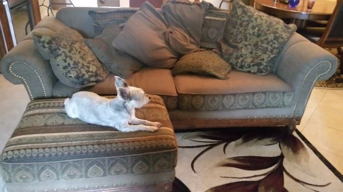 Sofa, there are two of these. -  dog not included