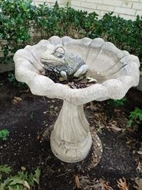birdbath