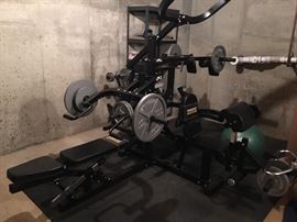 Powertec $200
500+ pounds of Olympic plates $200
