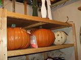 Big Pumpkins of ever size shape and texture- some still in the box