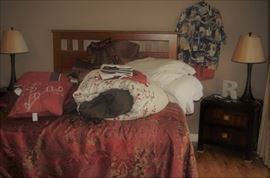 Queen size wood headboard Wayfair, matching pair of table lamps, pair of nightstands Wayfair, queen size comforter pillows shams like new (guest bedroom), Simmons queen mattress pillow top excellent from guest bedroom, Sto-A-Way queen mattress foundation with 4 drawers