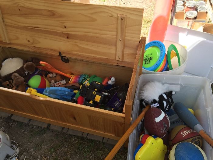 Toys/toy chest