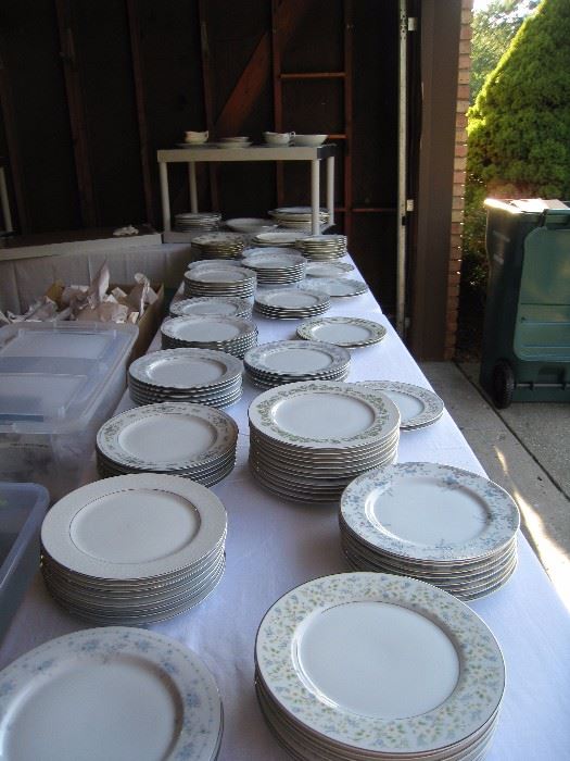 Tons of plates!